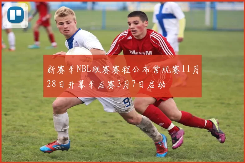 新赛季NBL联赛赛程公布常规赛11月28日开幕季后赛3月7日启动